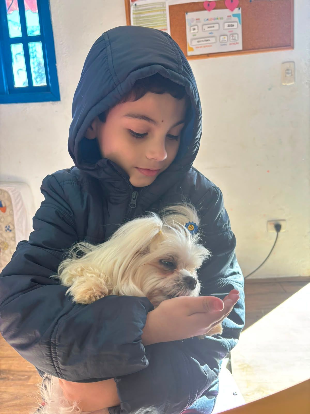 Menino de capuz segurando um cachorro branco no colo.