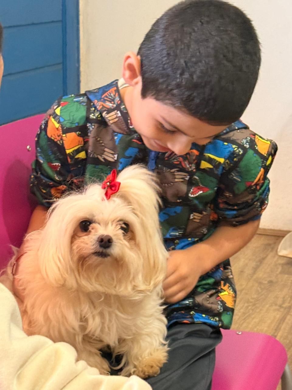 Menino abraçando um cachorro branco de laço vermelho.
