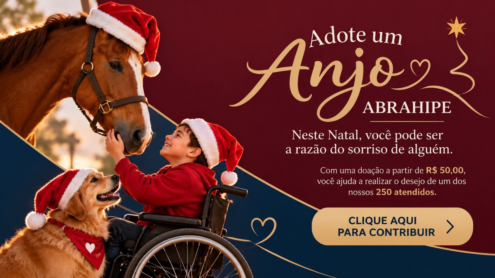 Adote um Anjo ABRAHIPE. Neste Natal, você pode ser a razão do sorriso de alguém: com uma doação a partir de R$ 50,00, você ajuda a realizar o desejo de um dos nossos 250 atendidos. Clique aqui para contribuir.