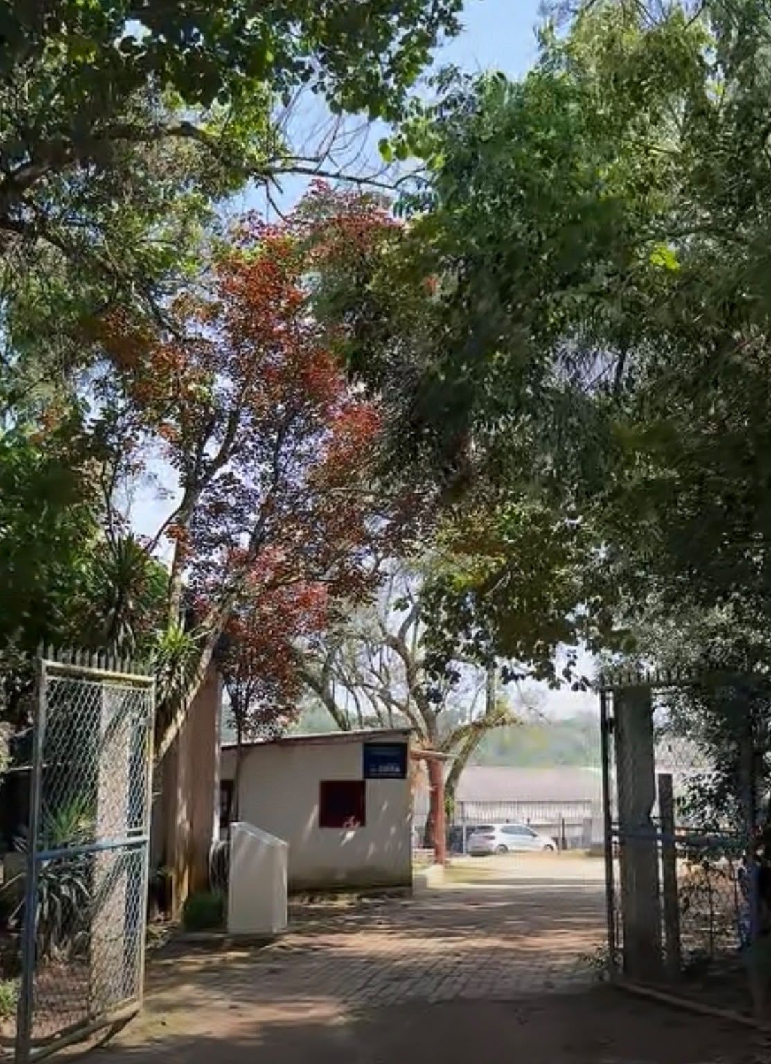 Portão de entrada da ABRAHIPE, com árvores e o caminho para as cocheiras.