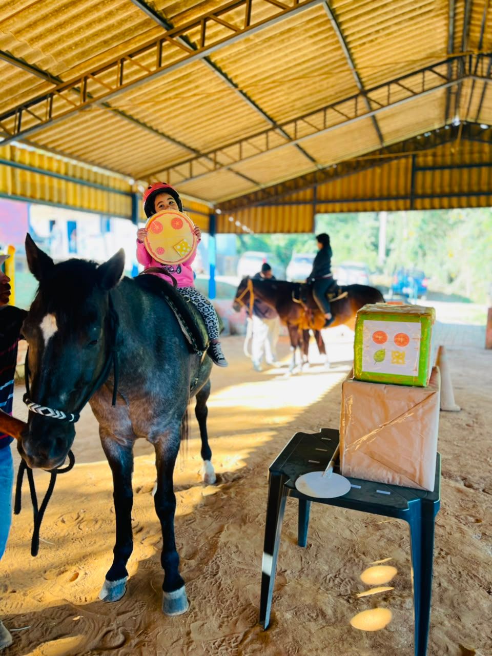 Equoterapia na ABRAHIPE.
